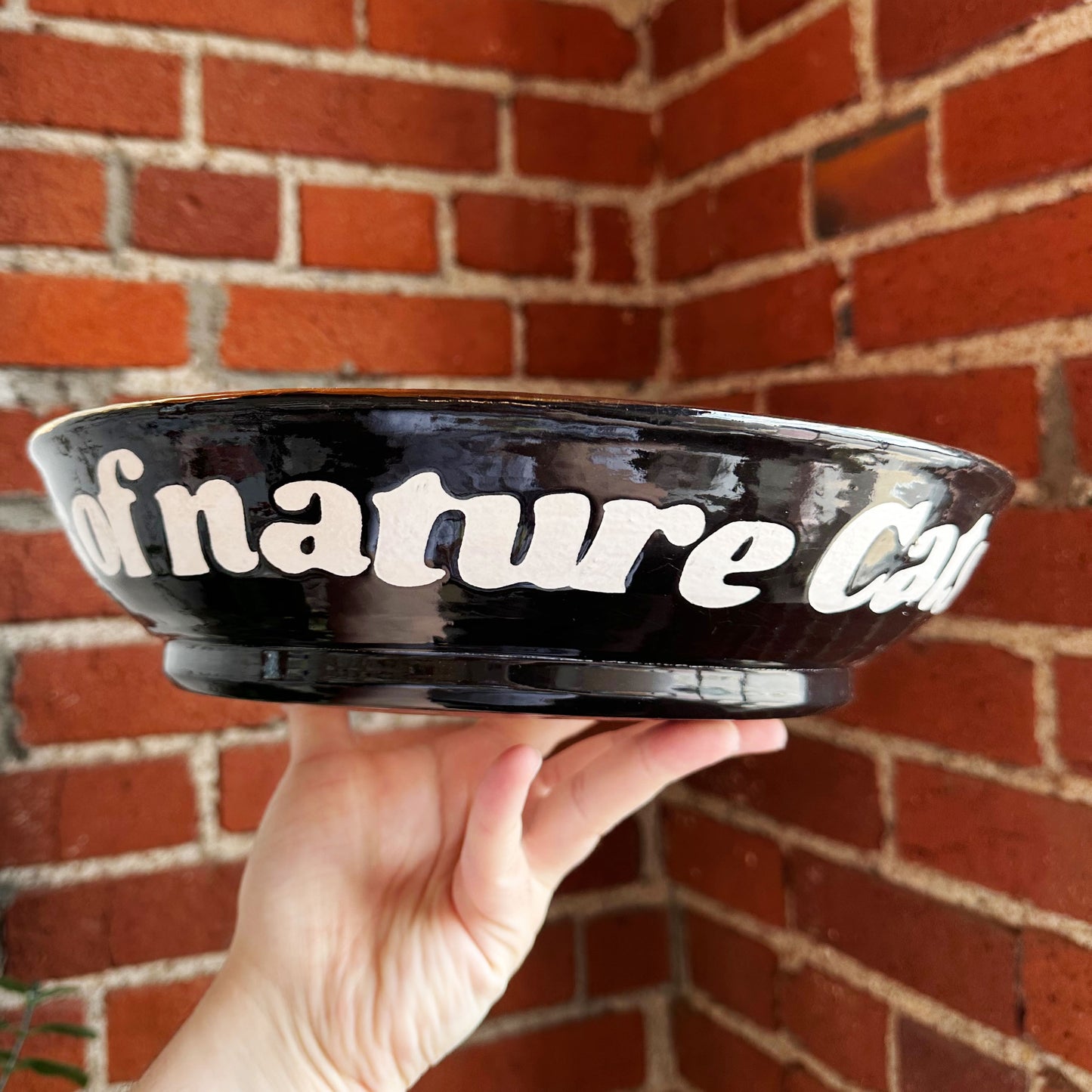 Large Serving Bowl with Cat Accents | Jessica Walker