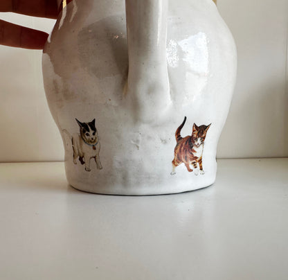 Cat Pitchers | Jessica Walker