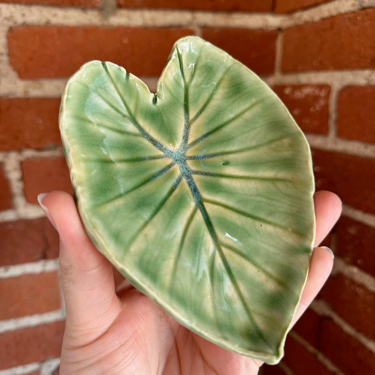 Leaf Impression Dishes | Cindy Walker Davidson