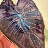 Leaf Impression Dishes | Cindy Walker Davidson