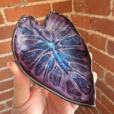 Leaf Impression Dishes | Cindy Walker Davidson