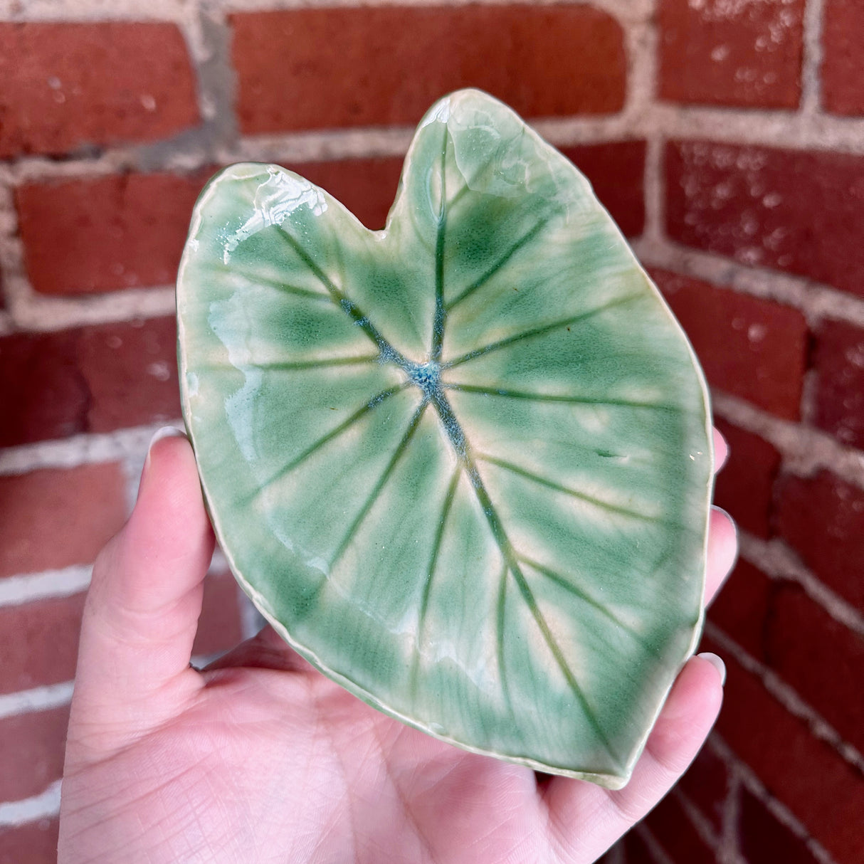 Leaf Impression Dishes | Cindy Walker Davidson