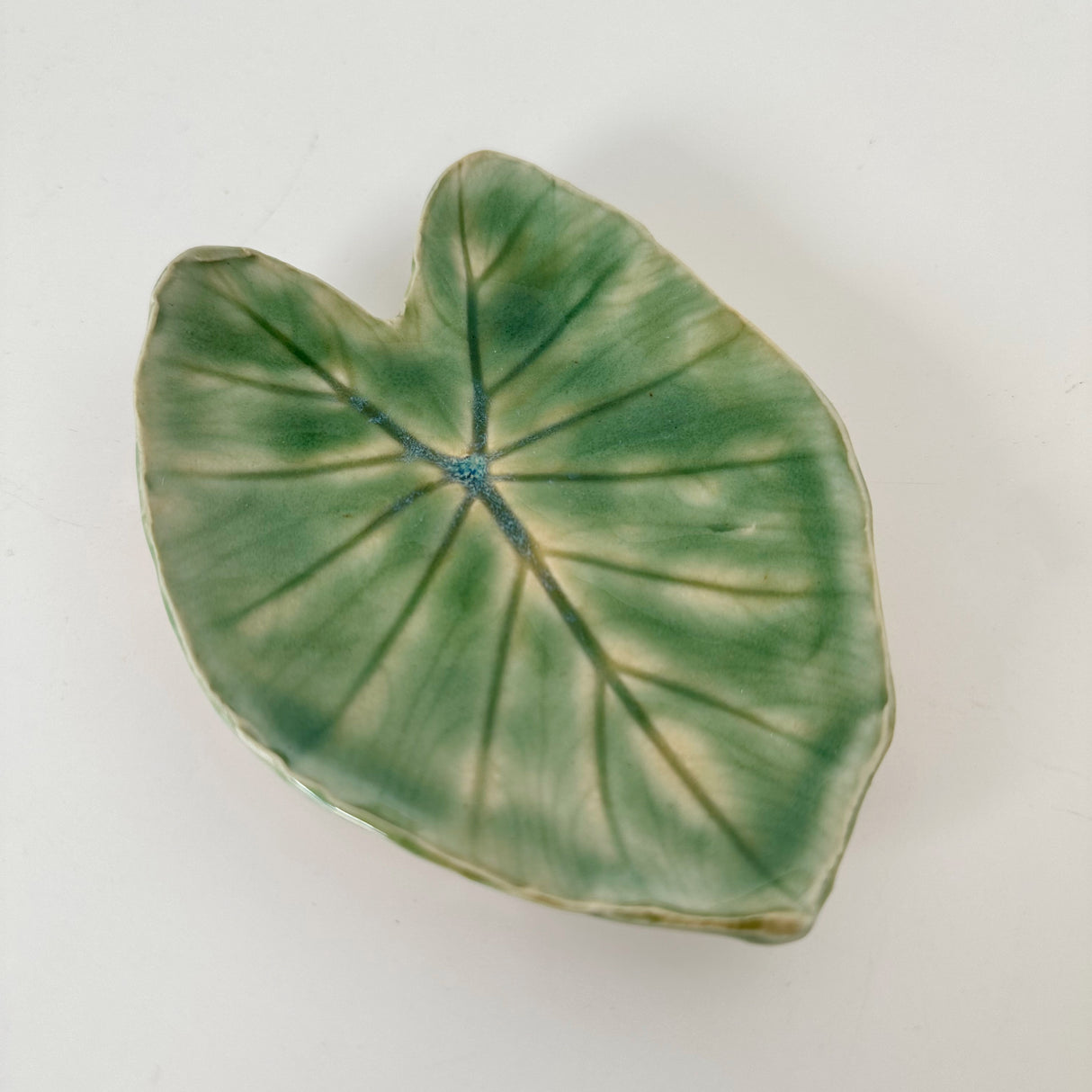 Leaf Impression Dishes | Cindy Walker Davidson