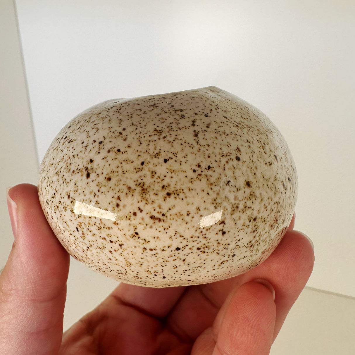 Spherical Bud Vases | Madeleine Schmidt