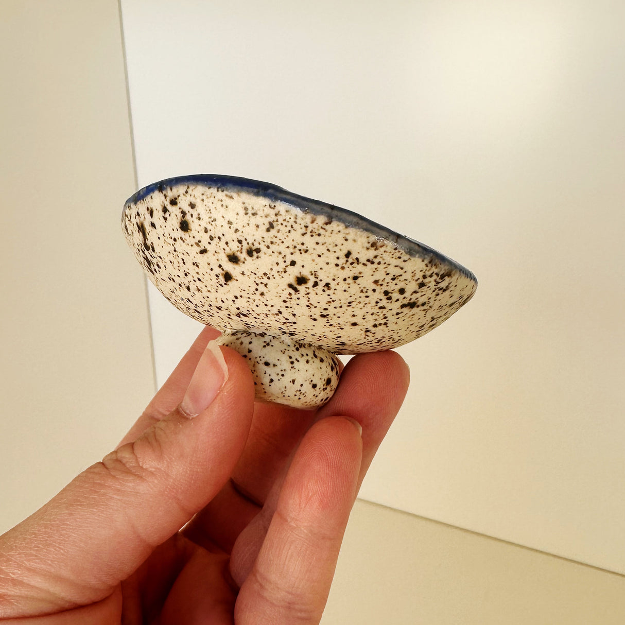 Small Blue with Speckles Dishes | Madeleine Schmidt
