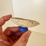 Small Blue with Speckles Dishes | Madeleine Schmidt