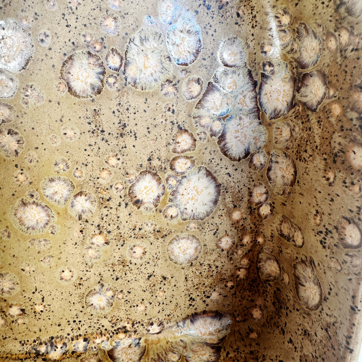 Blue and Speckled Wall Altars | Madeleine Schmidt