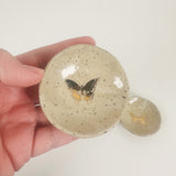 Speckled Sandy Butterfly Trinket Dishes | Madeleine Schmidt