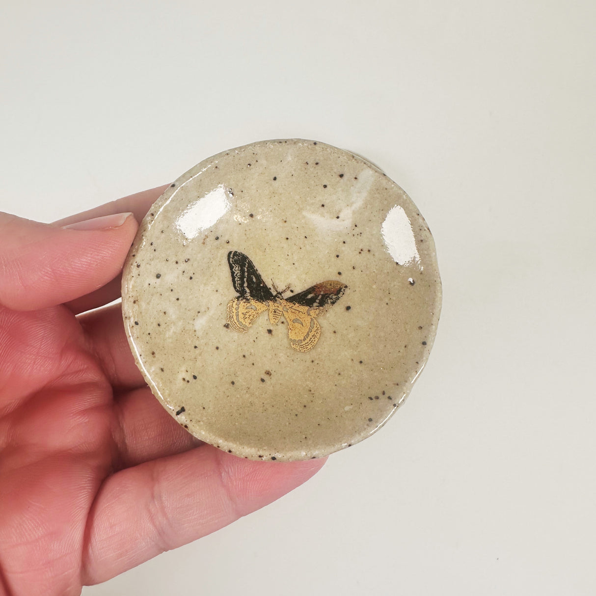 Speckled Sandy Butterfly Trinket Dishes | Madeleine Schmidt