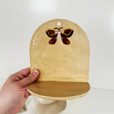 Speckled, Buff Wall Altars  | Madeleine Schmidt