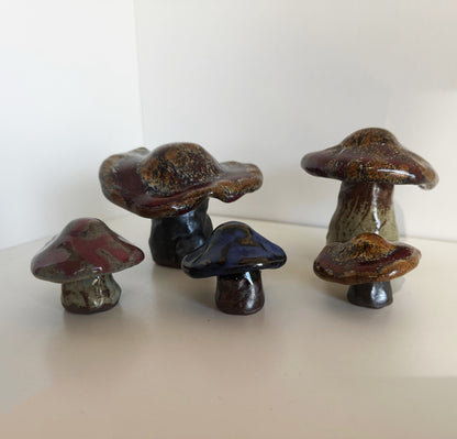 Hand Sculpted Mushrooms | Katie Brown