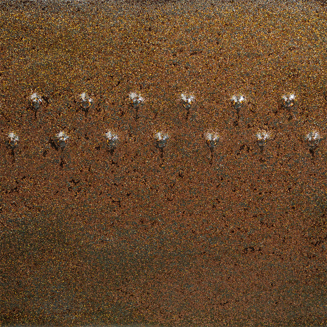 Cosmic Gold Dust PC-69