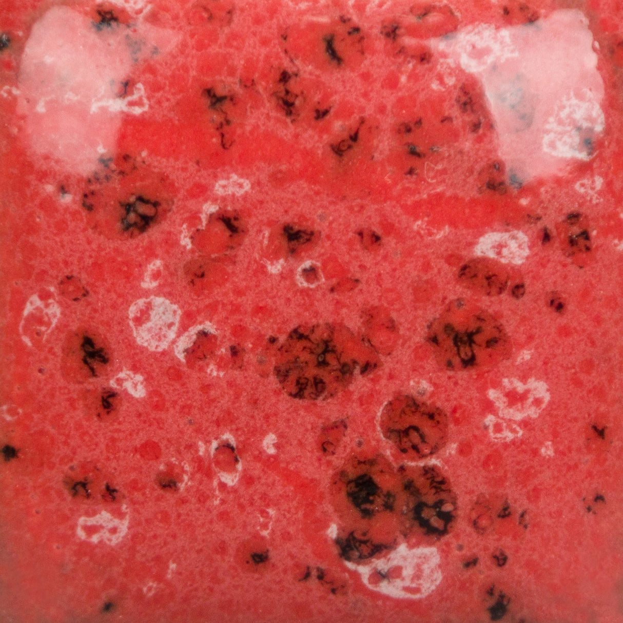 Stroke and Coat SP289 Speckled Cutie Pie Coral