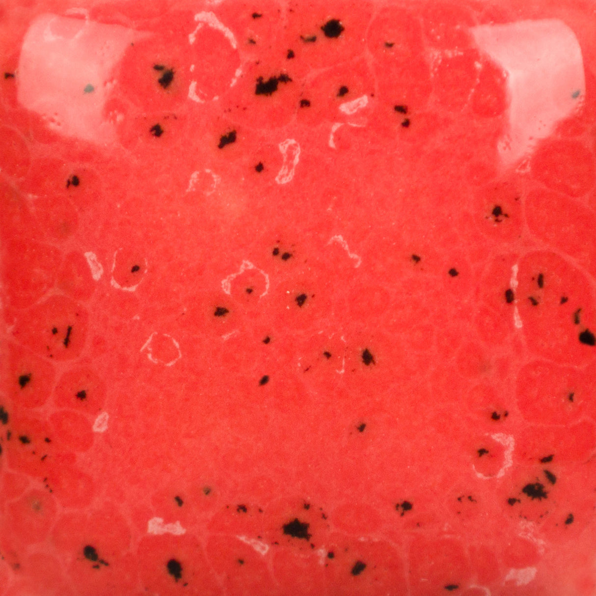 Stroke and Coat SP289 Speckled Cutie Pie Coral