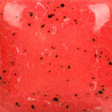 Stroke and Coat SP289 Speckled Cutie Pie Coral