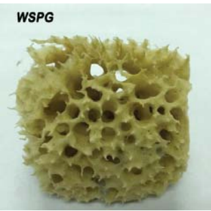 3" Wool Sea Sponge