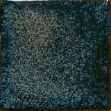 Coyote Clay Sample Set #2- New January 2026