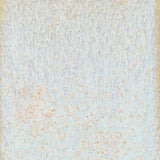 Coyote Clay Sample Set #2- New January 2026