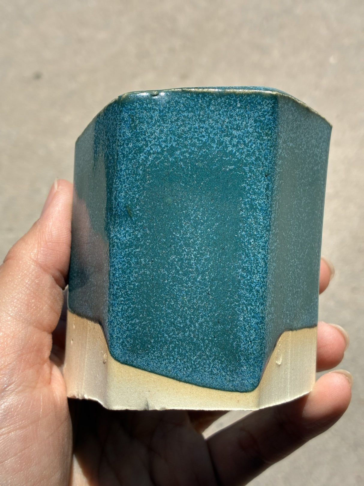 Veridian Forest MBG228