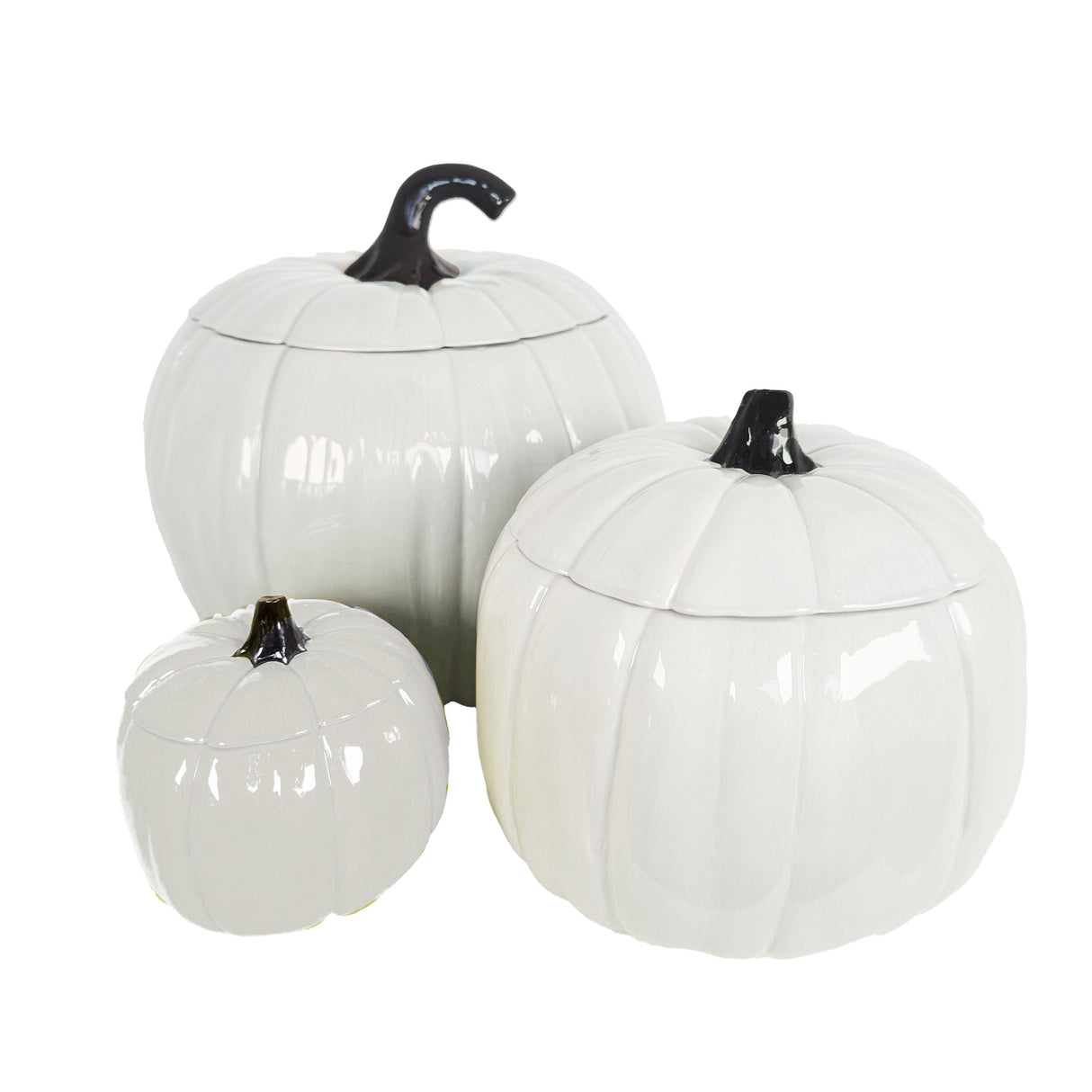 Solid White Pumpkin Jars