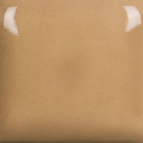 Foundations 060 Mushroom