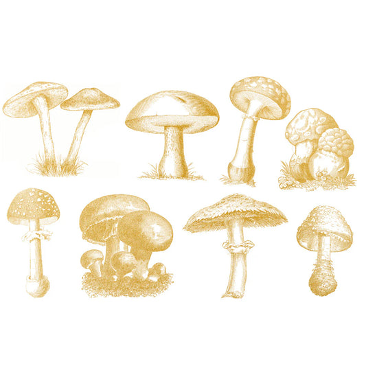 Wild Mushroom Overglaze Gold Decal Sheet