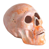 Mystical Skull in Warm Tones with 22K Gold Accents