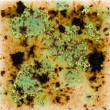 Cappuccino Mint - Jungle Gems 2709