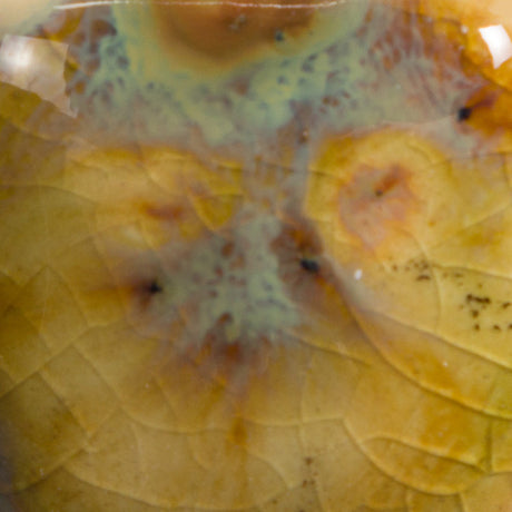 Cappuccino Mint - Jungle Gems 2709