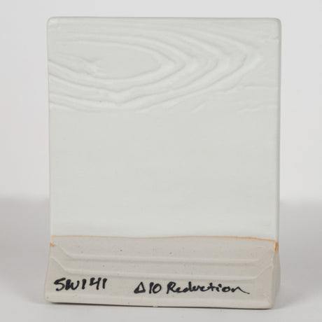 Stoneware 141 White Matte