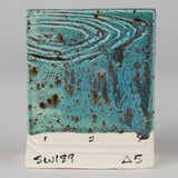 Stoneware 189 Cenote