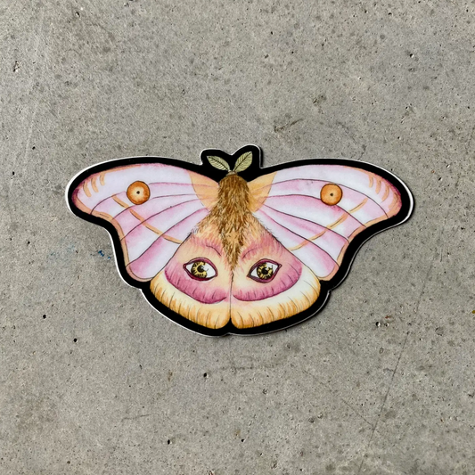 Seeing Moth Sticker | Jillian Selene Art